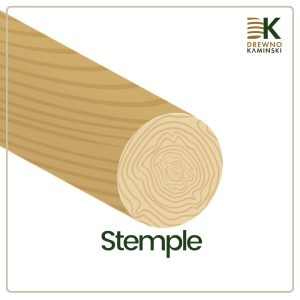 Stemple